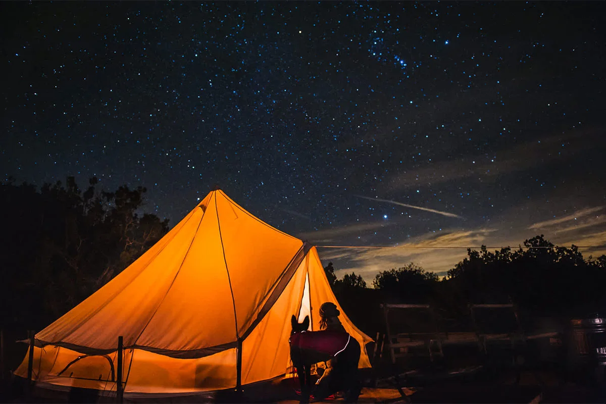 ca-glamping-speakasy-lodge-yurt-edited