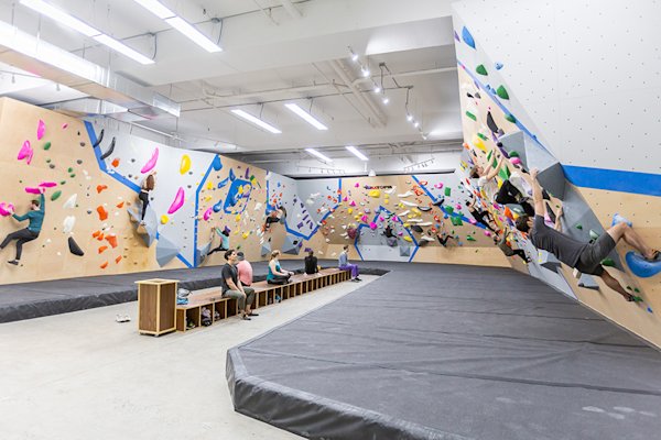 Rock Climbing in New York City: A Local's Guide | 2024 | Field Mag