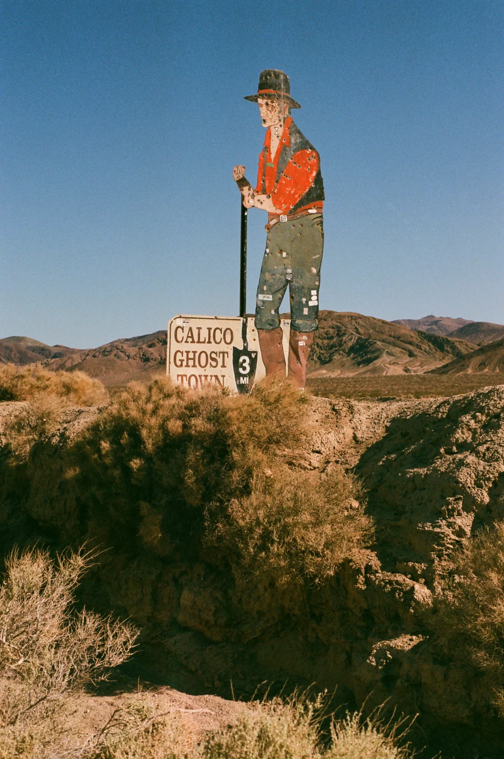 linnea-bullion-zion-road-trip-24