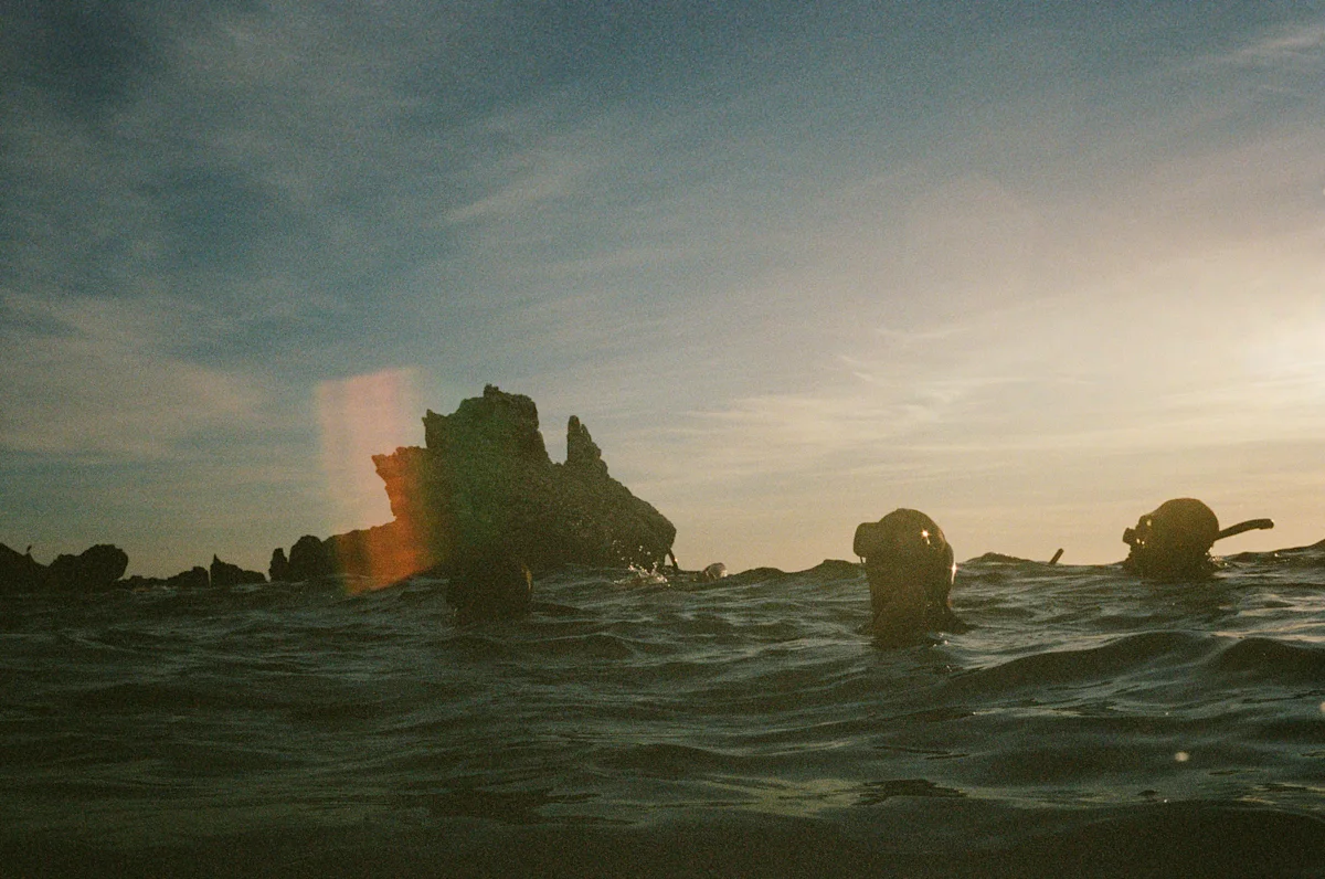 alex-krowiak-baja-snorkel