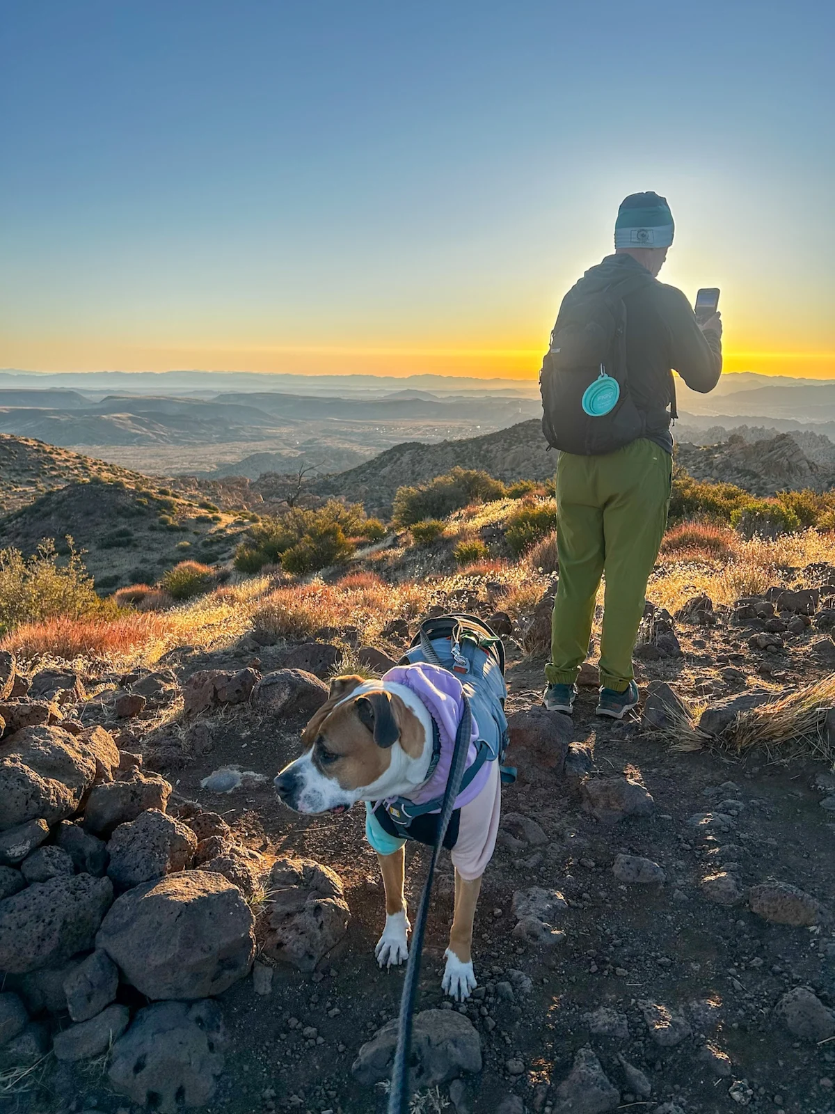 national-parks-california-Chaparrosa-dog-with-sunset