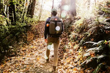 Camera Backpack, $250