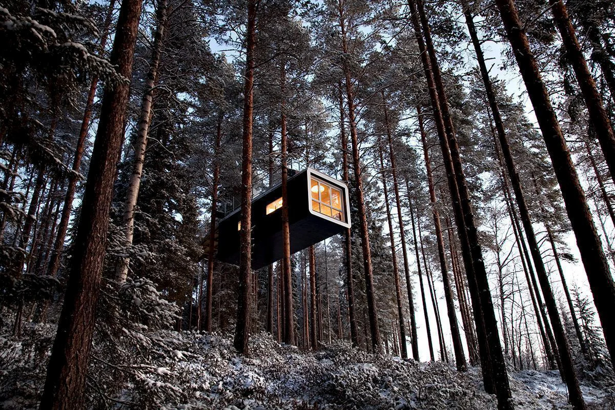 Tree-Hotel-The-Cabin