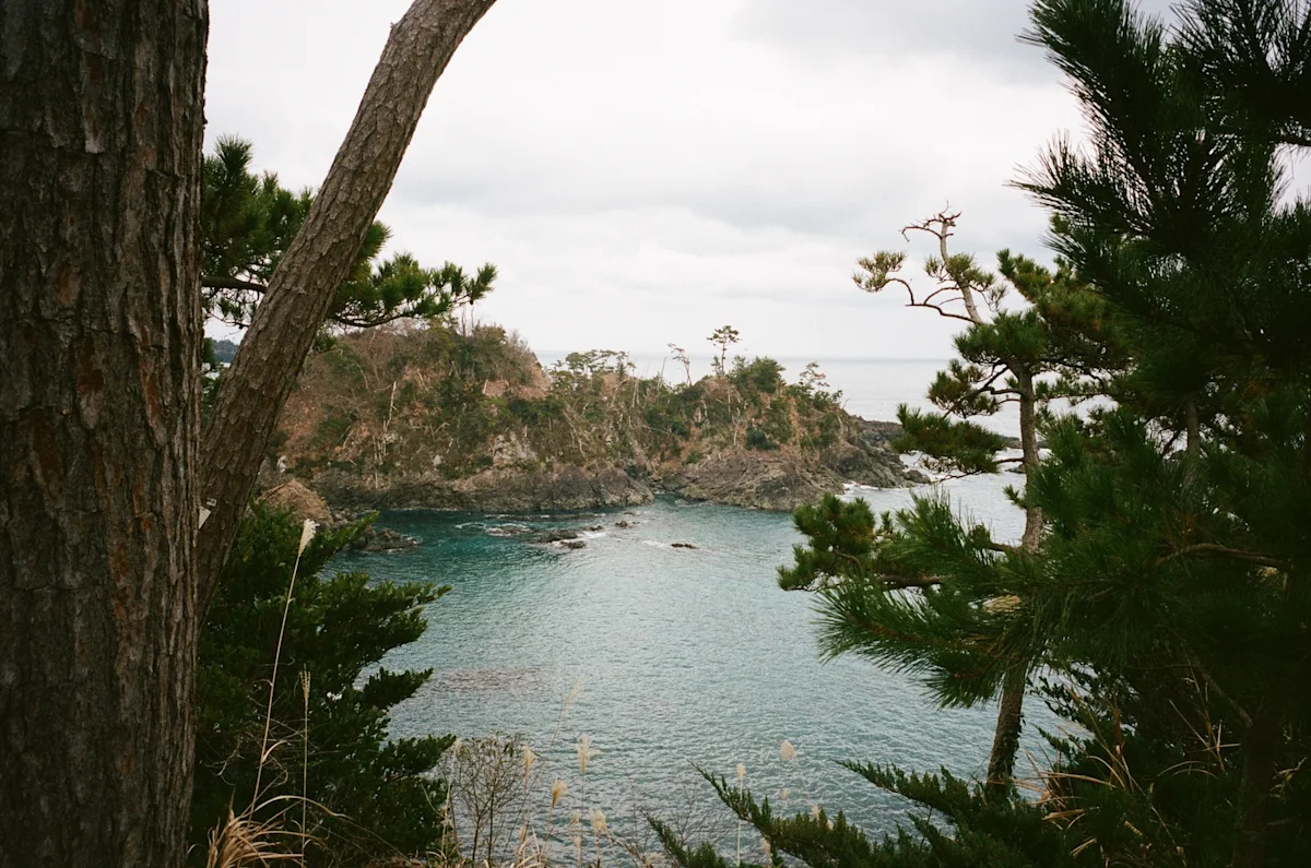 Michinoku-Coastal-Trail-Winter-Guide-Coast-3
