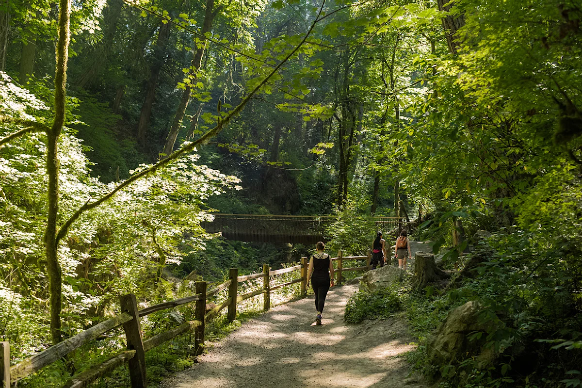 Portland-Forest-Park-Justin-Katigbak