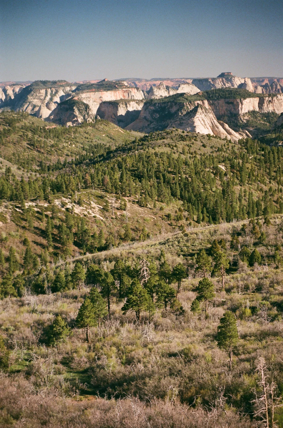 linnea-bullion-zion-road-trip-4