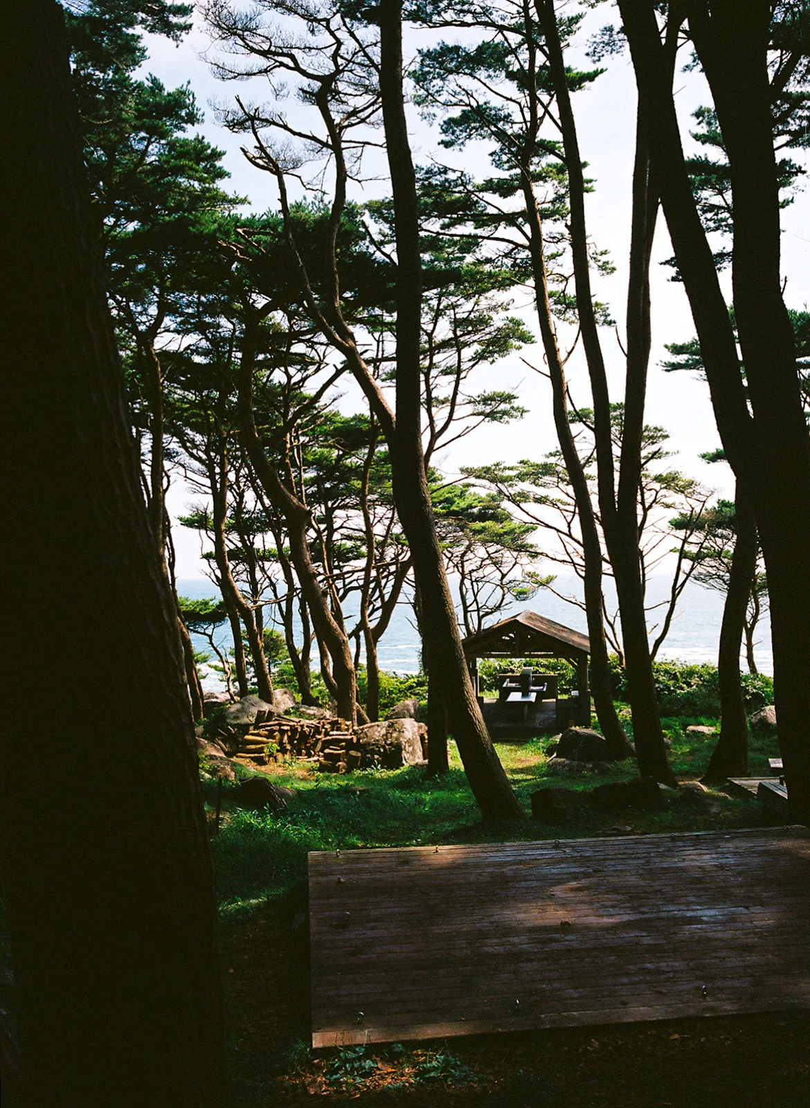 Michinoku-Coastal-Trail-Japan-14-Campground
