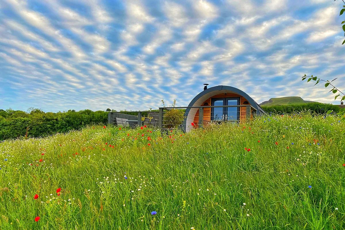 northern-ireland-glamping-sites-sycamore-pods-exterior