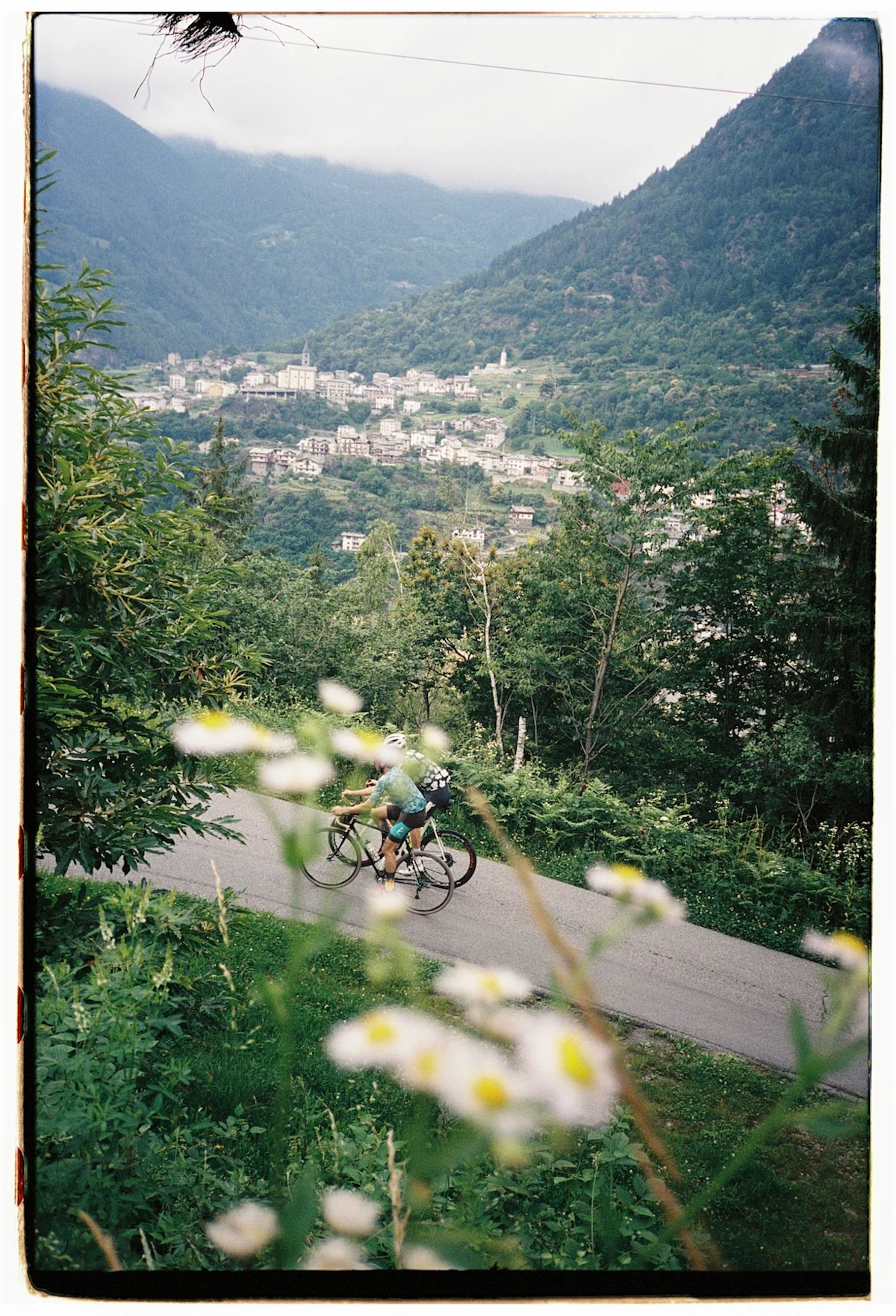 team-dream-bicycling-team-tirano-pop-up-pair-of-cyclists-behind-flowers-vertical