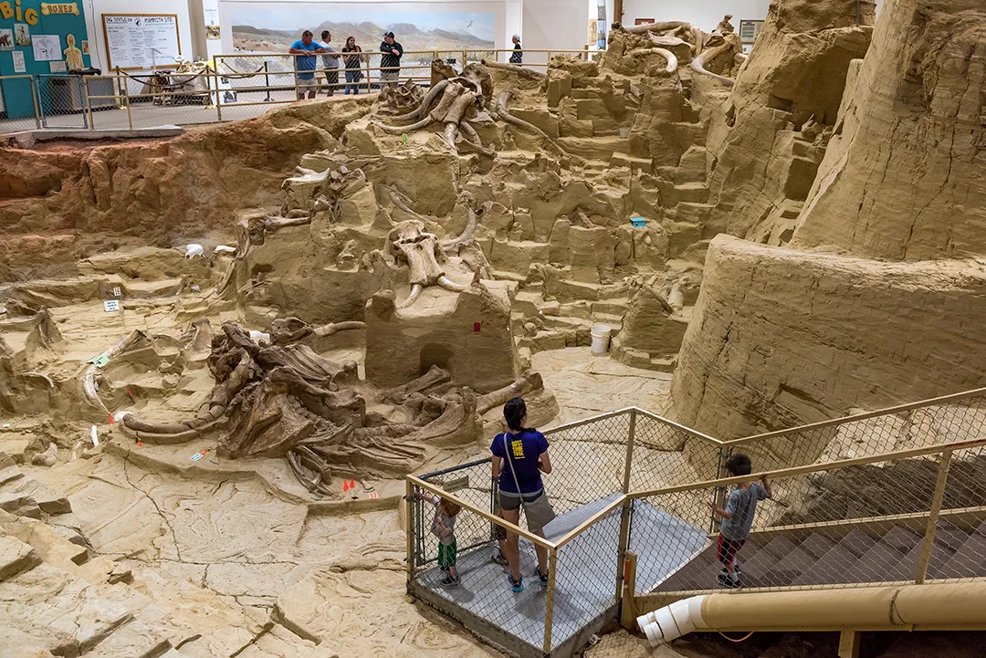 South-Dakota-Things-to-Do-Mammoth-Site