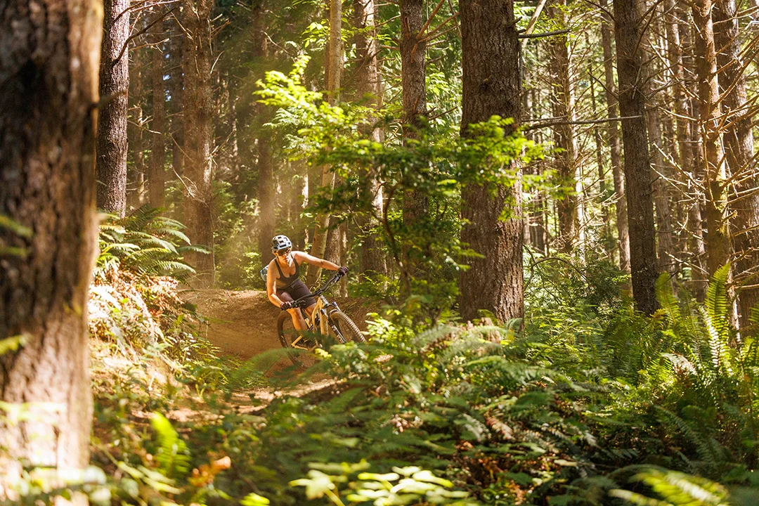 southern-oregon-coast-guide-mtb-hero