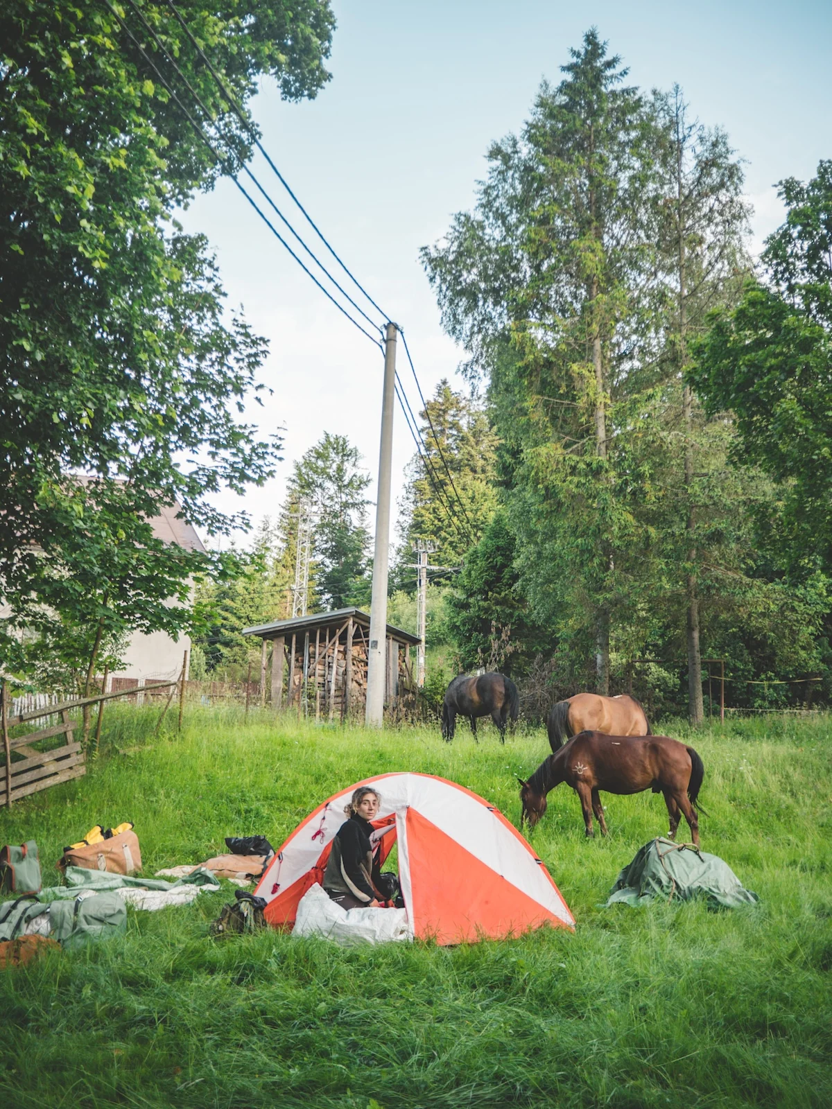 horse-ride-from-kyrgyzstan-to-france-horse-with-tent-vertical