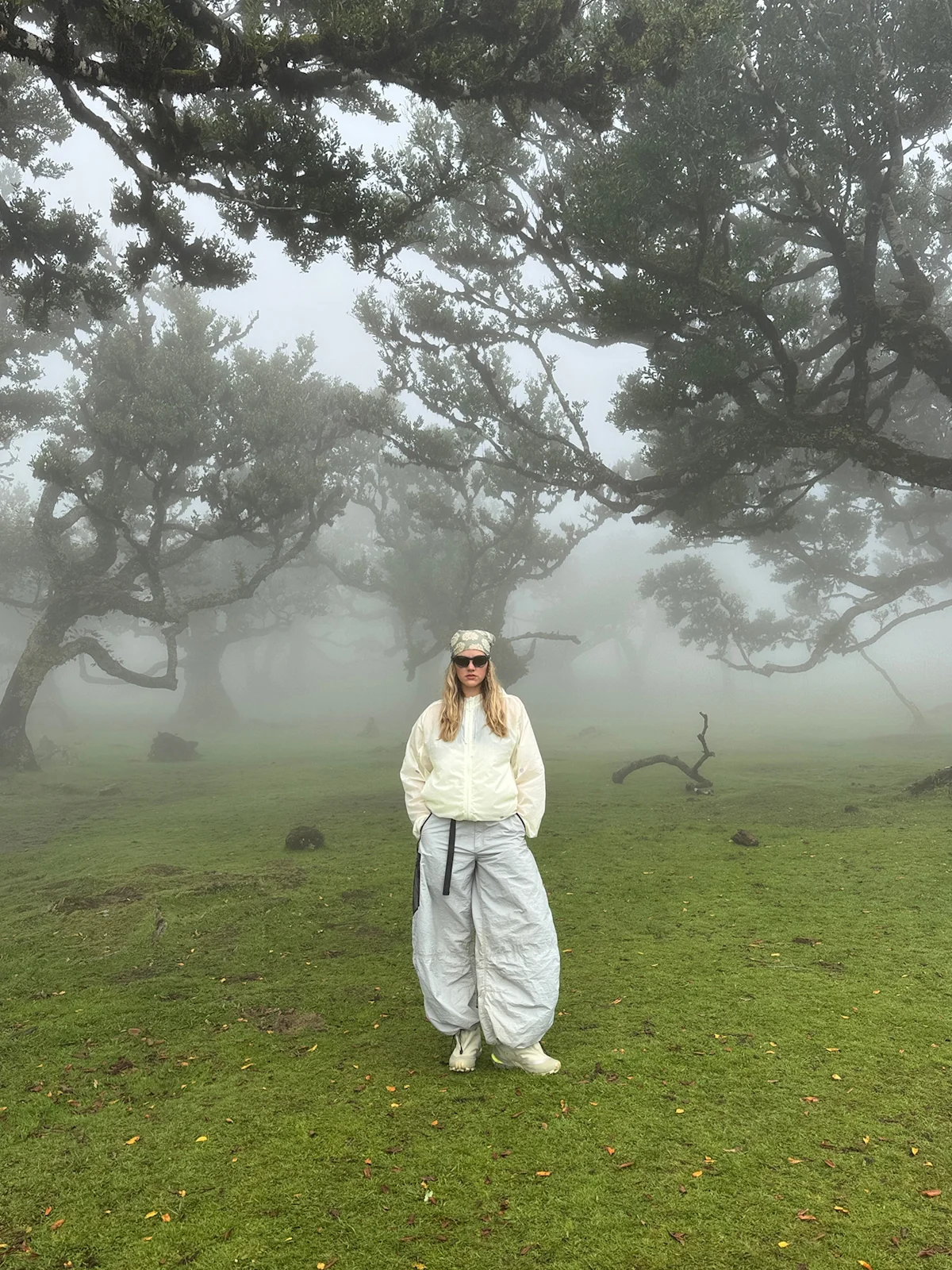 sabrina-bloedorn-q&a-foggy-forest