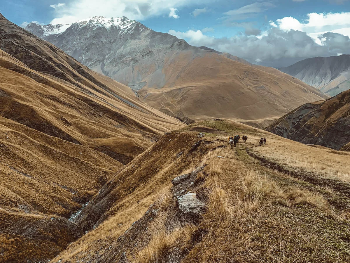 breanna-wilson-georgia-tusheti-valley