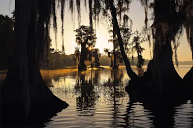 image by Tim Palmer, courtesy Rizzoli