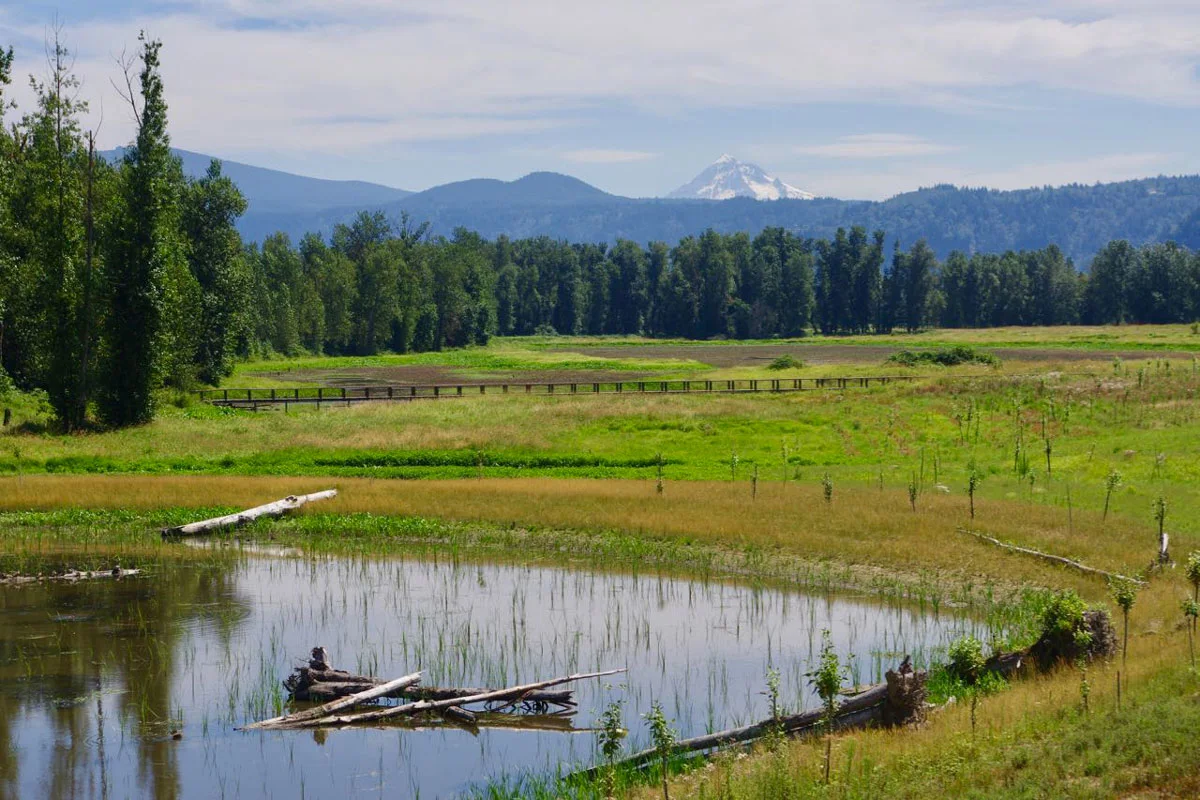 portland-hikes-steigerwald-lake-refuge