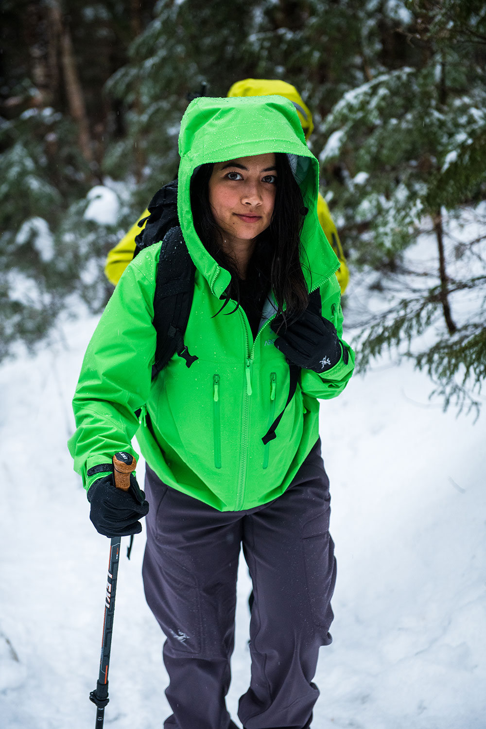 Green on sale arcteryx jacket