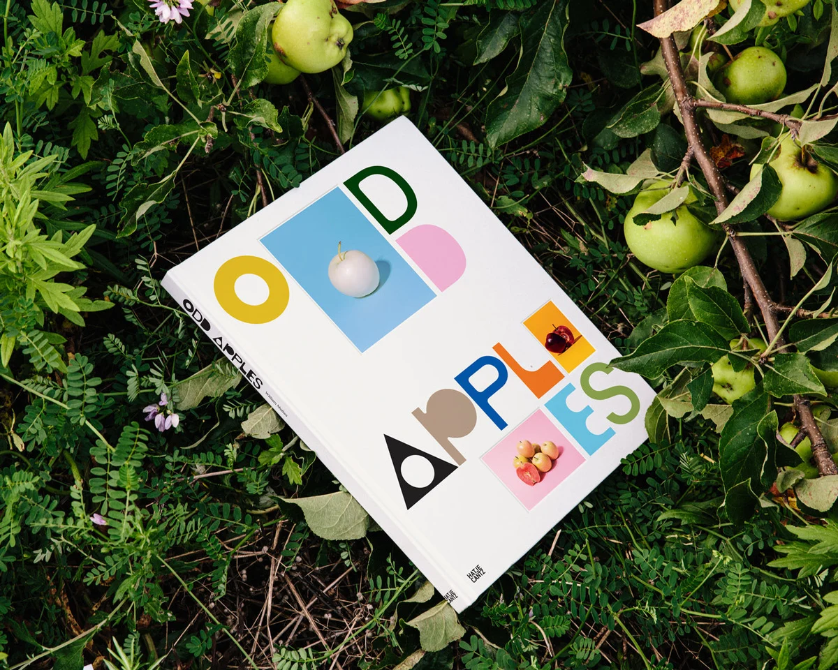 odd-apples-william-mullan-book