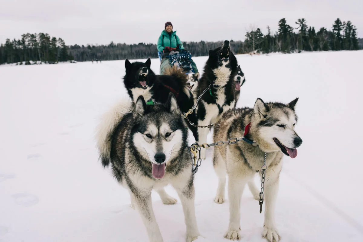 andy-cochrane-dogsledding-boundary-waters-30