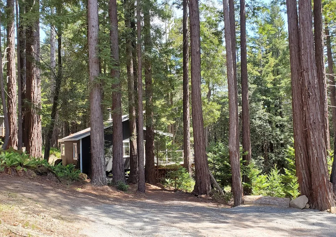 mendocino-california-cabins-point-area-redwood-exterior