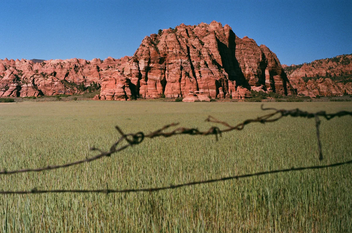linnea-bullion-zion-road-trip-8