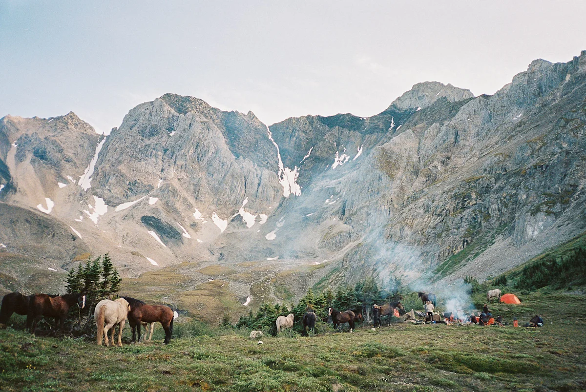 taylor-burk-muskwa-kechika-9