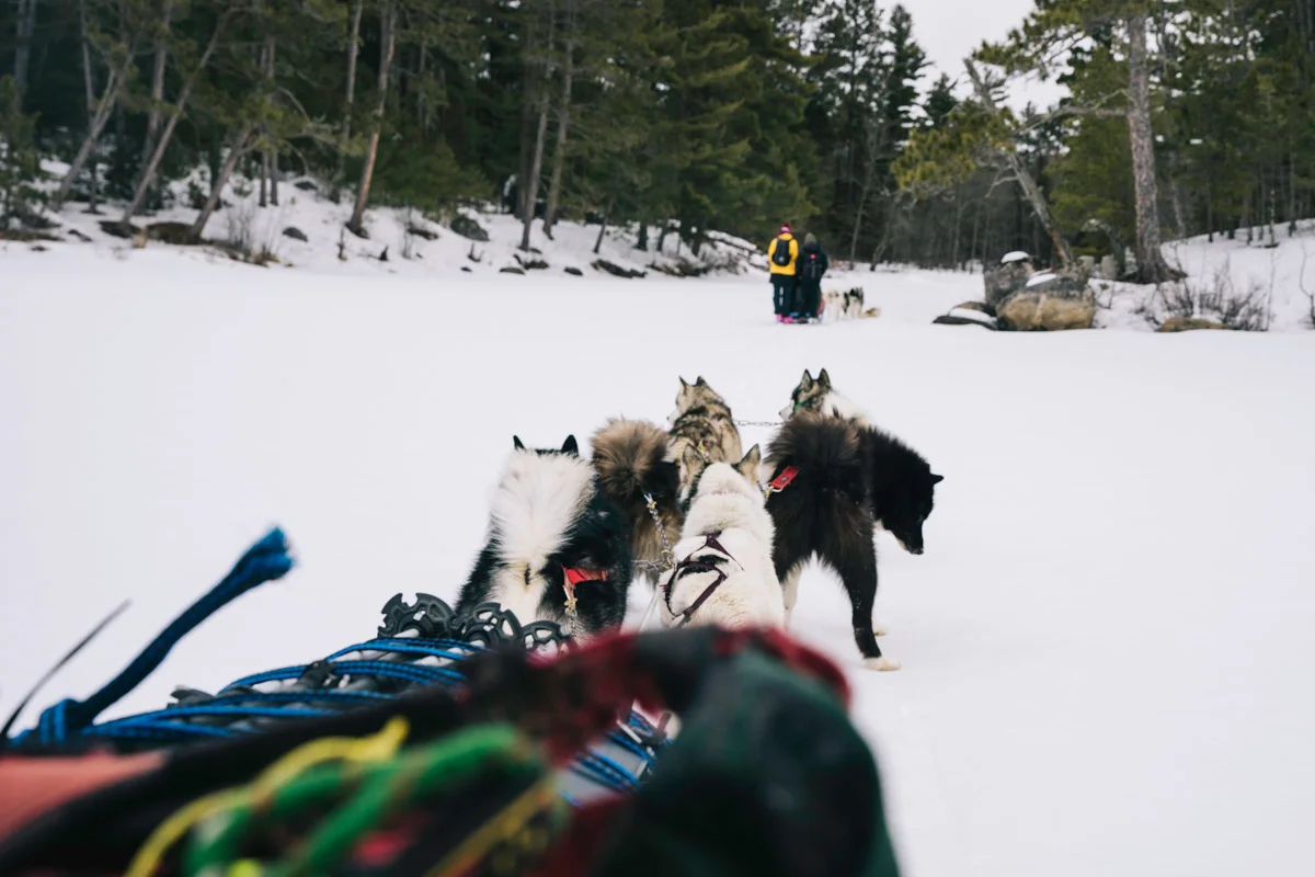 andy-cochrane-dogsledding-boundary-waters-28
