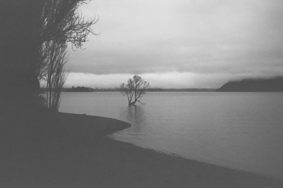 thomas-loach-new-zealand-south-island-11