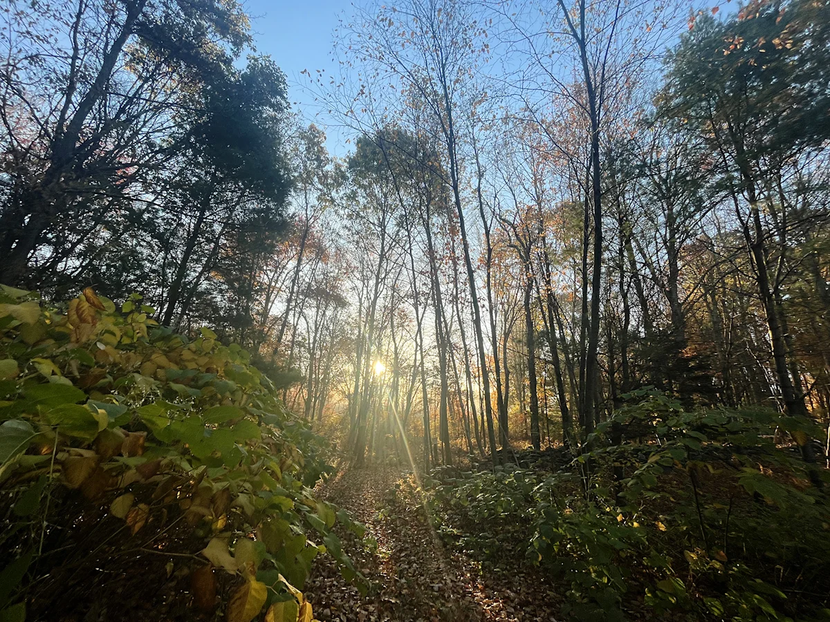 Joe-Kanzangu-NYC-to-Boston-3-Discovery-Trail-CT