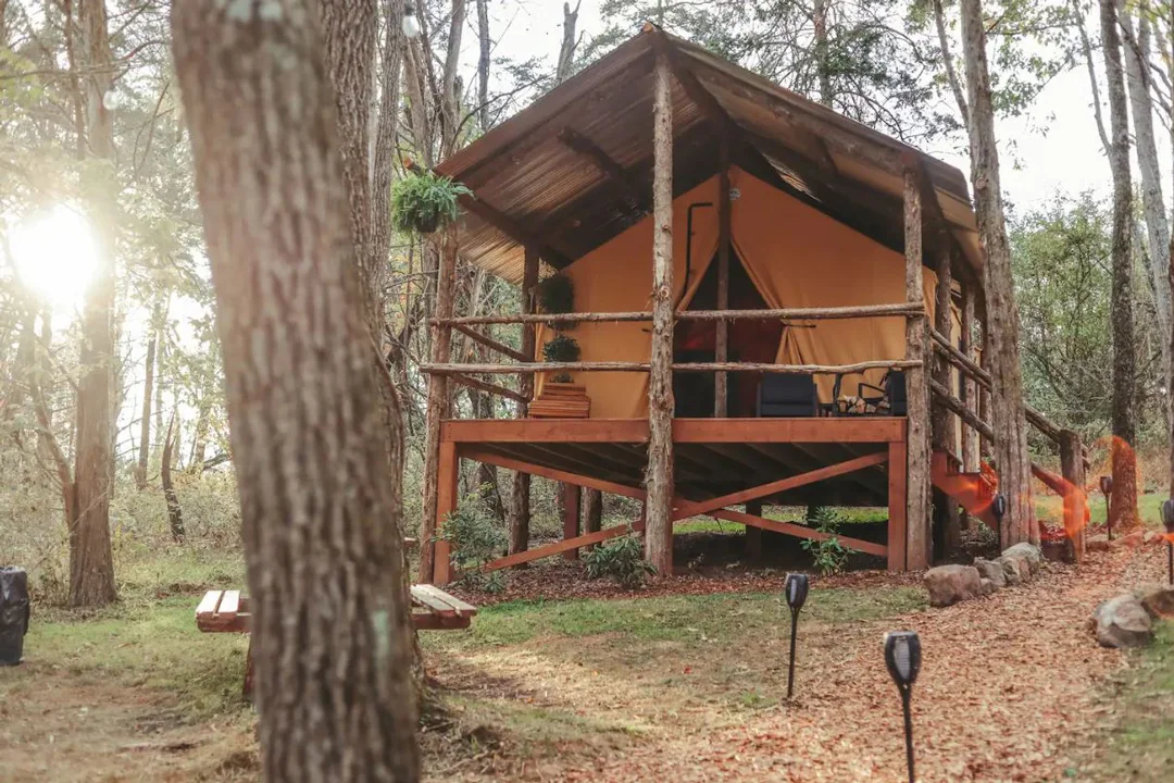 safari-tent-dover-pennsylvania