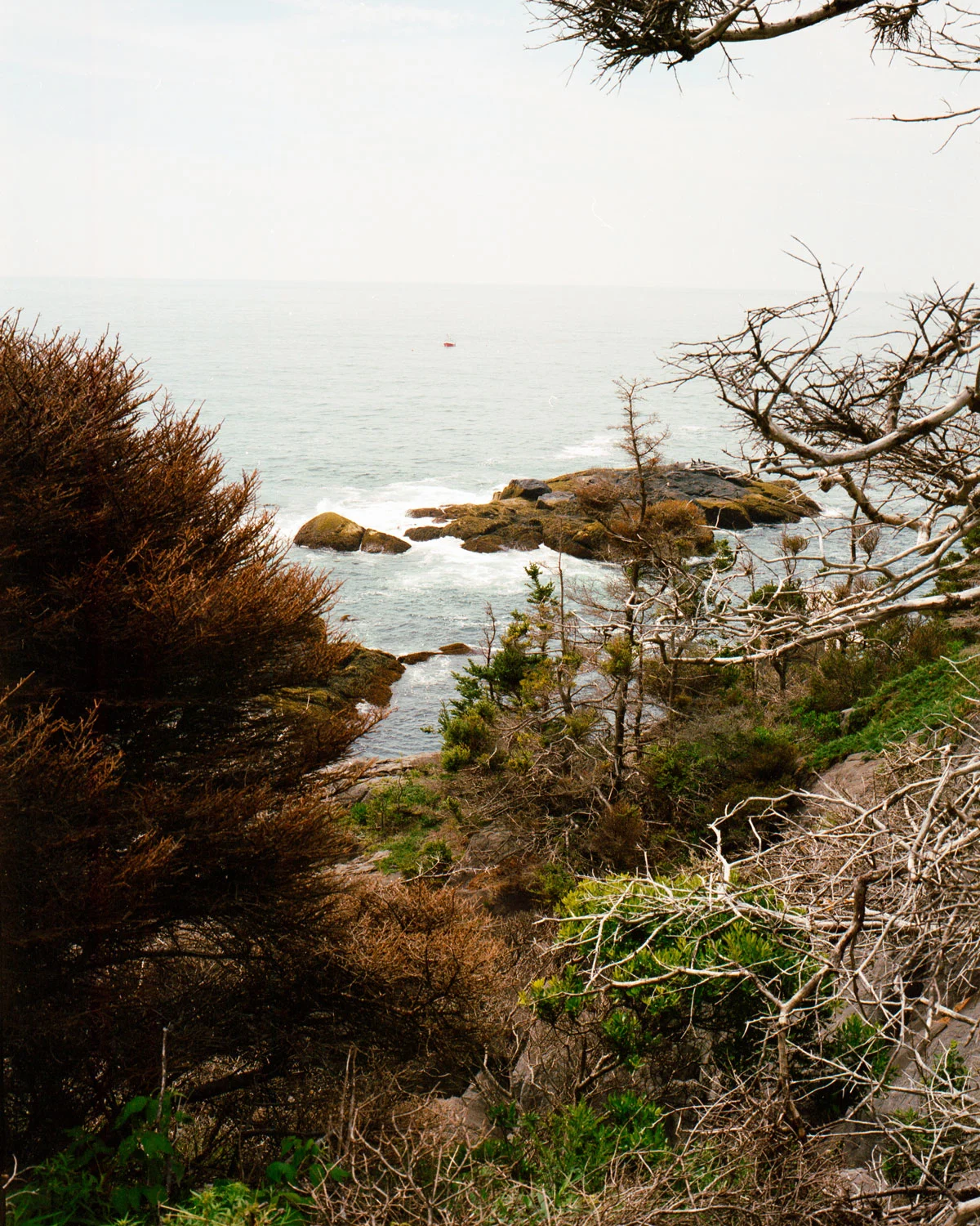 matt-steindl-monhegan-island-8
