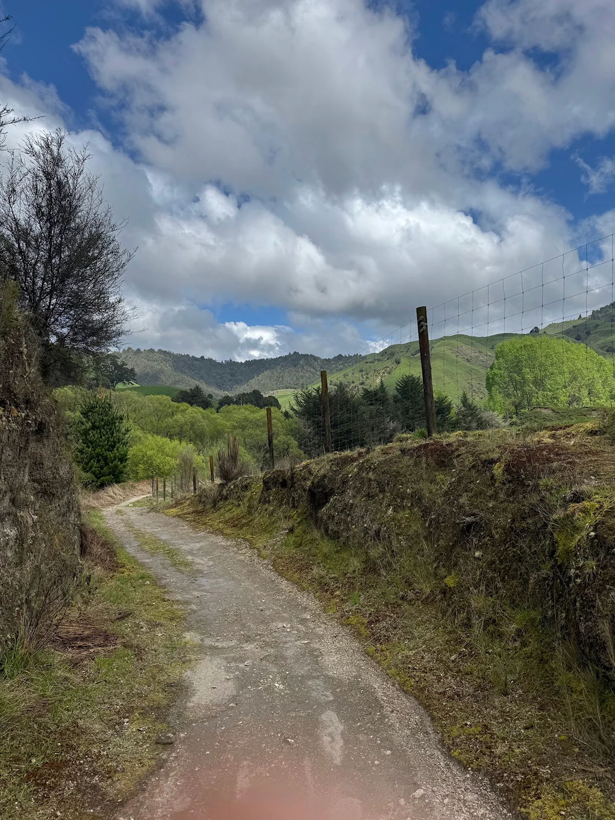 daniel-varghese-timber-trail-cycling-around-pasture-vertical