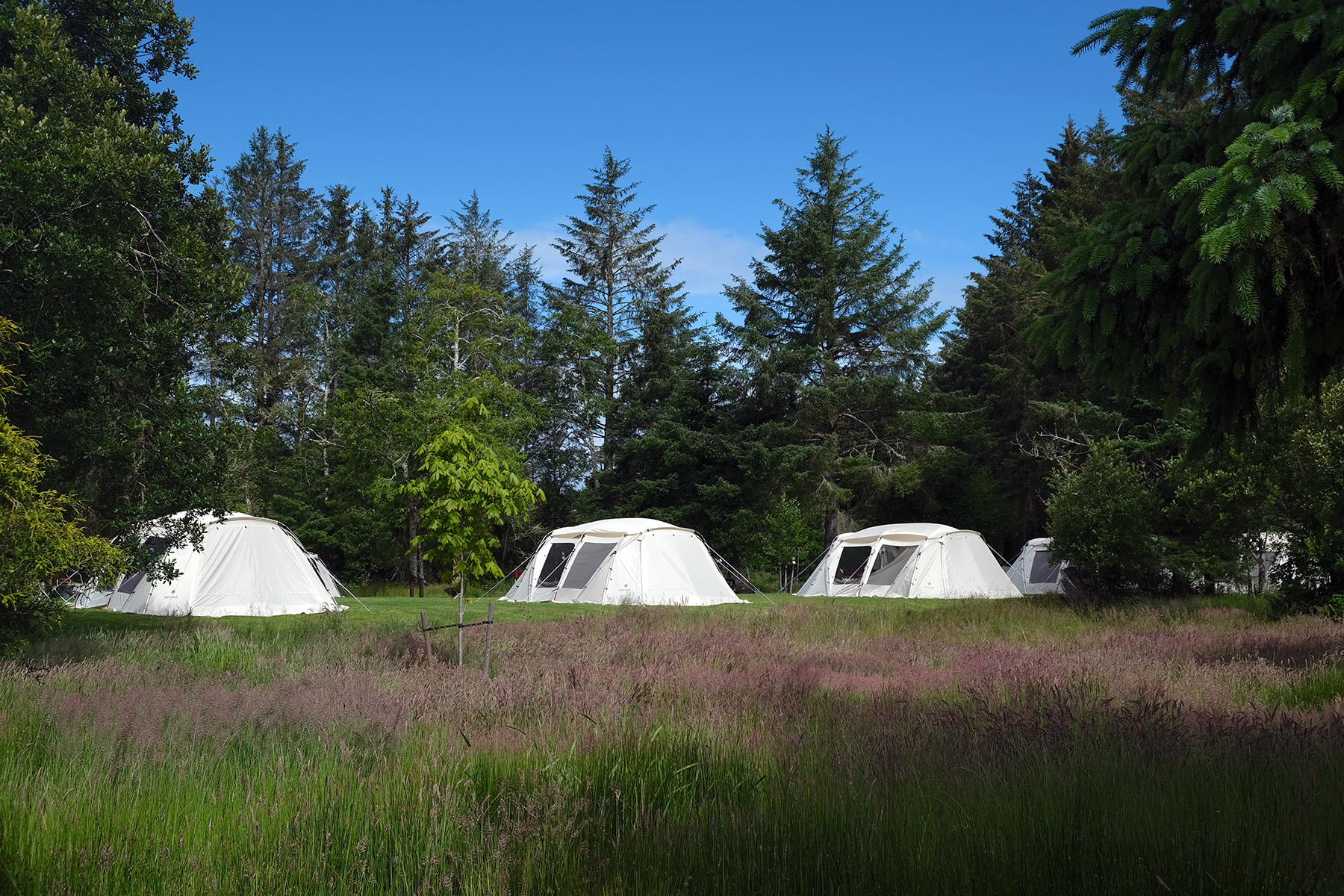 Inside Snow Peak Campfield, a Luxe Campground & Spa in WA State | Field Mag