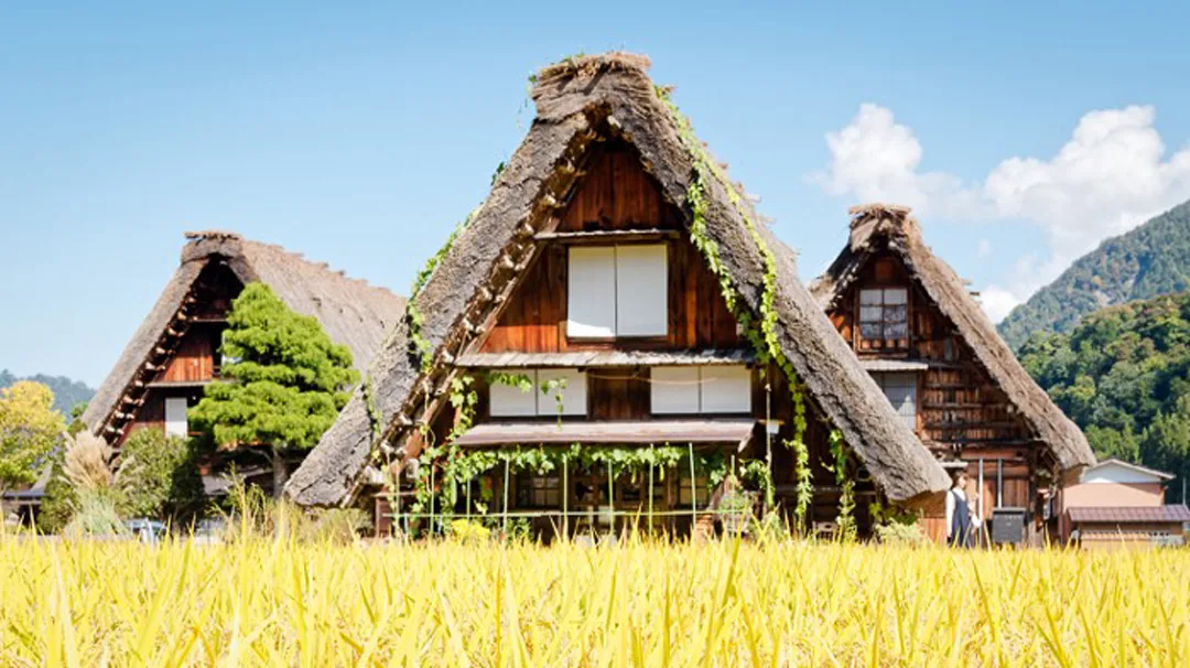AFrames-History-Shirakawago-Gassho-Farmhouse