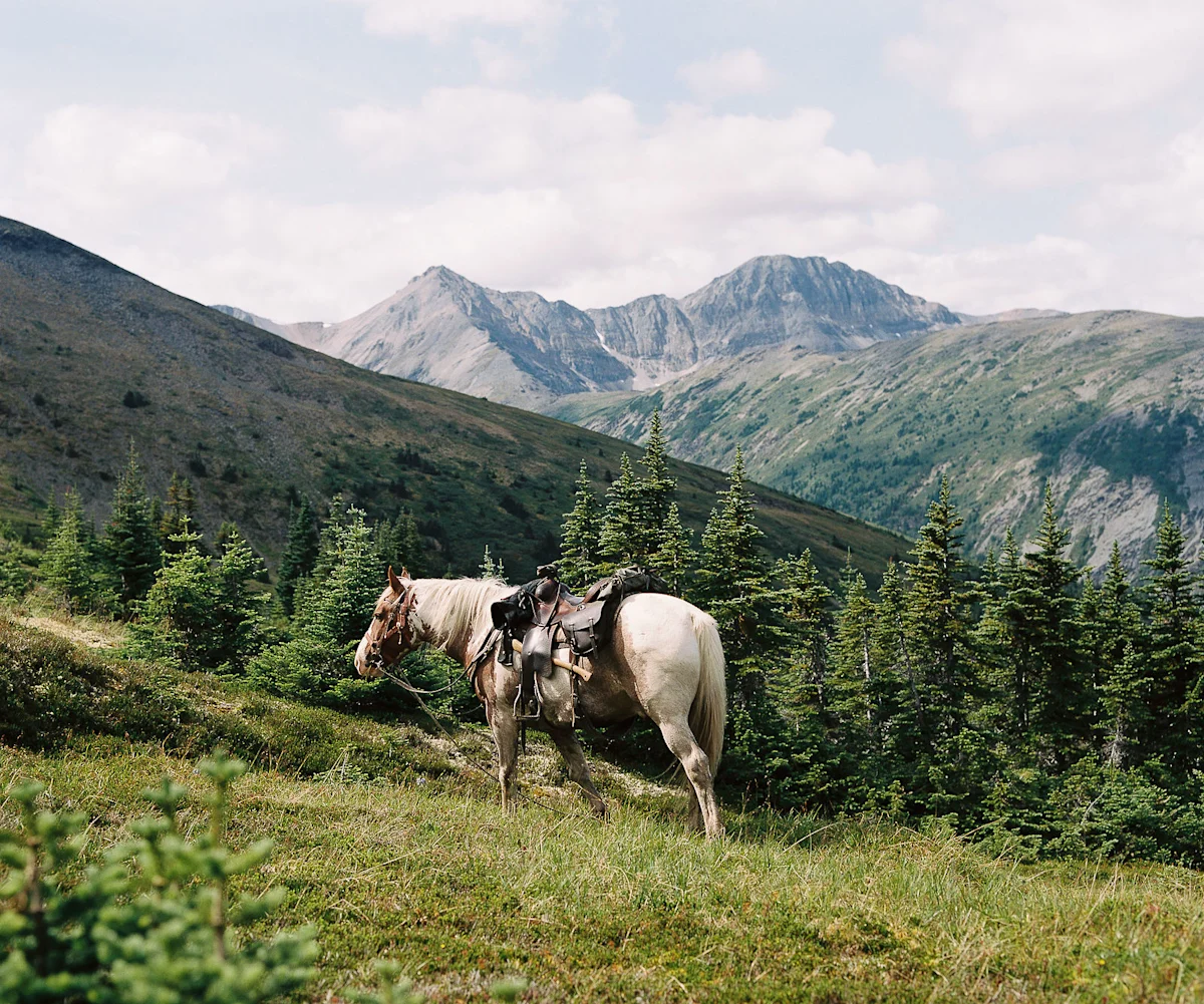 taylor-burk-muskwa-kechika-10