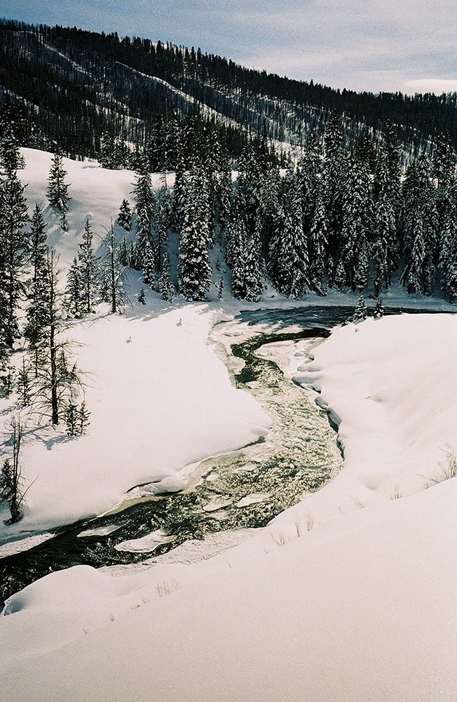 Wyoming-Backcountry-Sled-Field-Mag-8