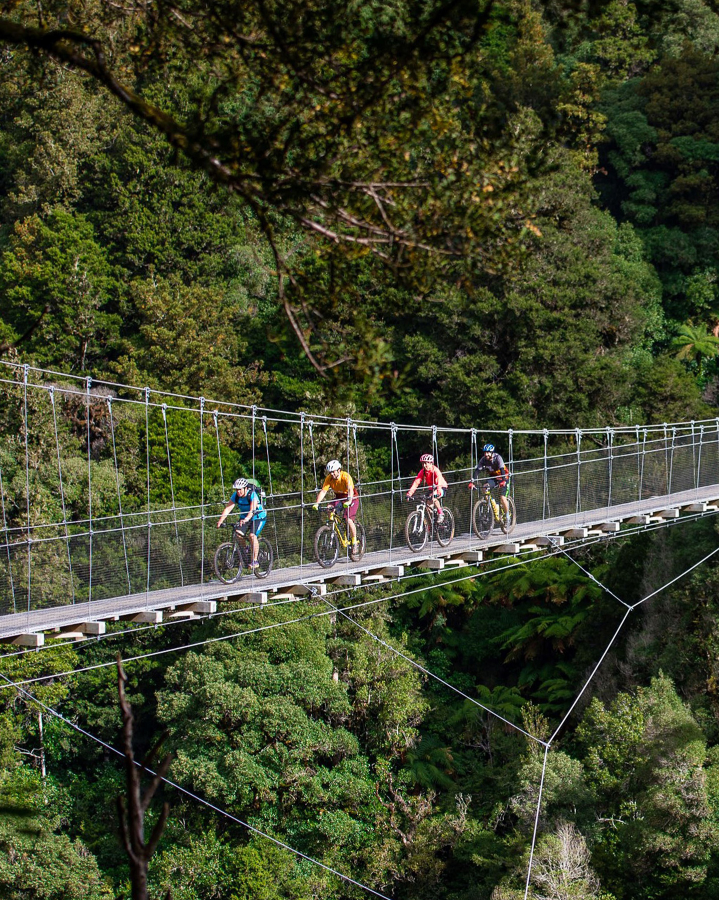 A Cyclist's Guide to New Zealand's Remote & Spectacular Timber Trail