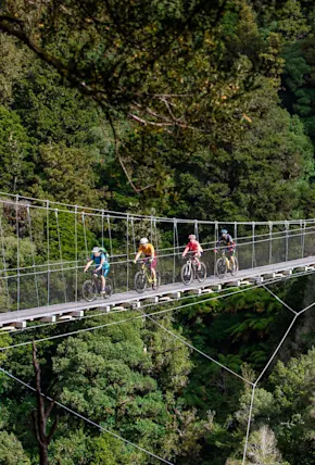 A Cyclist's Guide to New Zealand's Remote & Spectacular Timber Trail