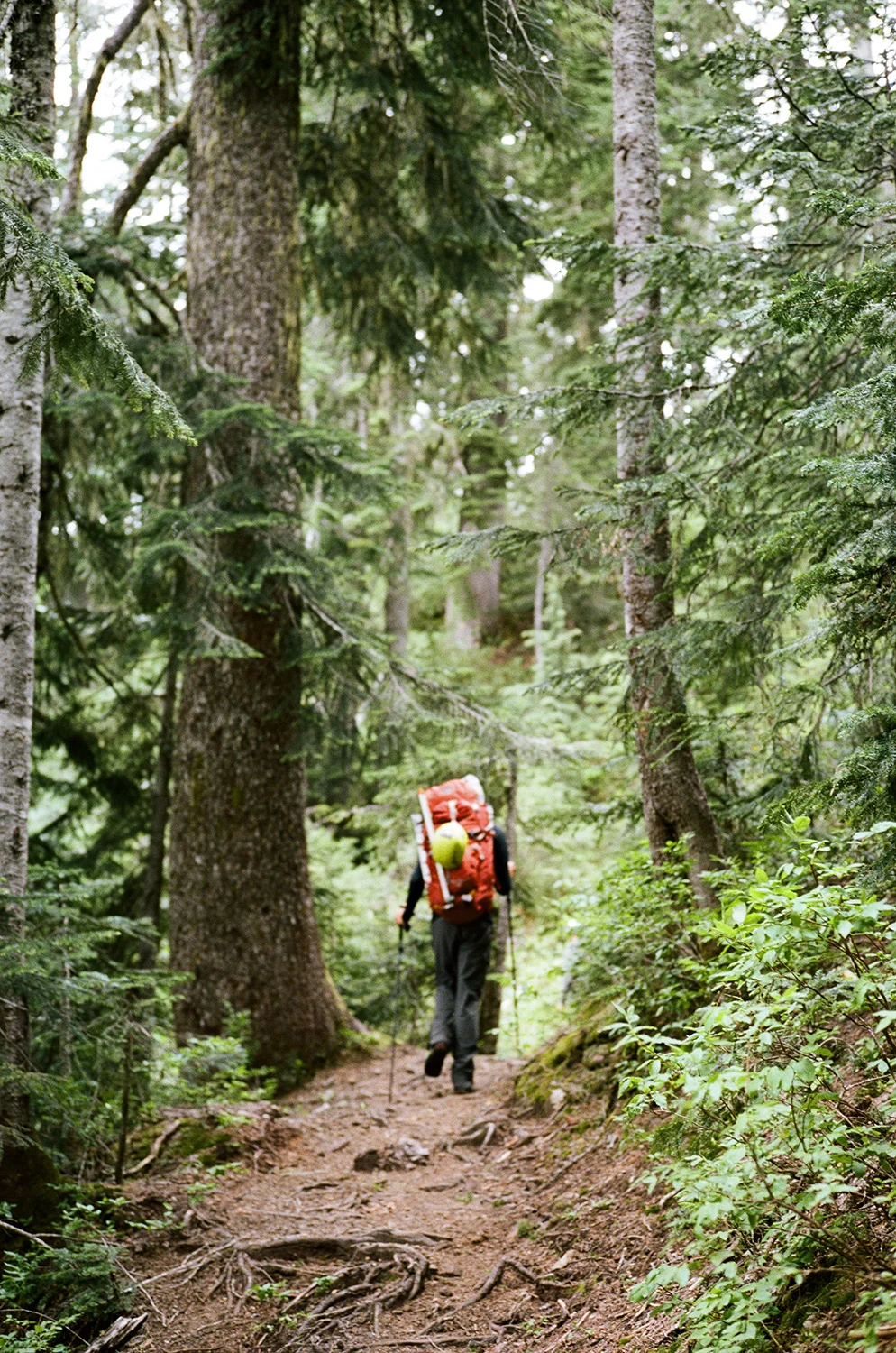 Vic-Garcia-Shuksan-24