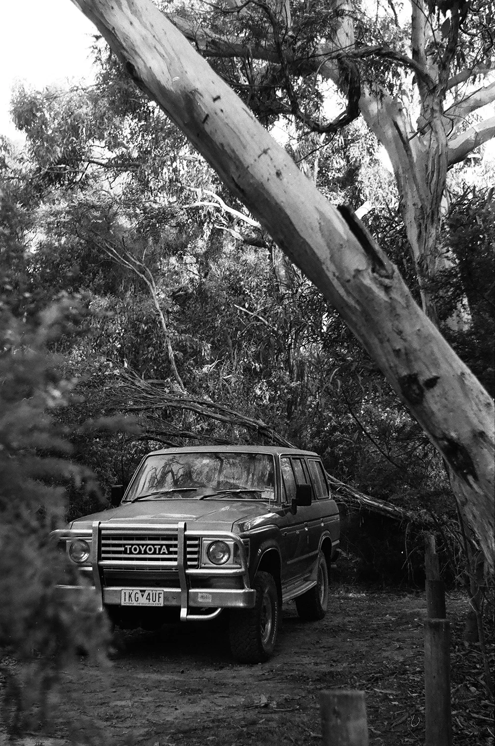 Eric-Greene-AUS-Camp-17