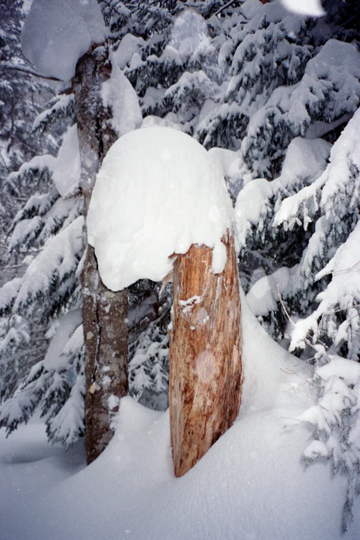 Nathanael-Asaro-Snowboarding-VT-3
