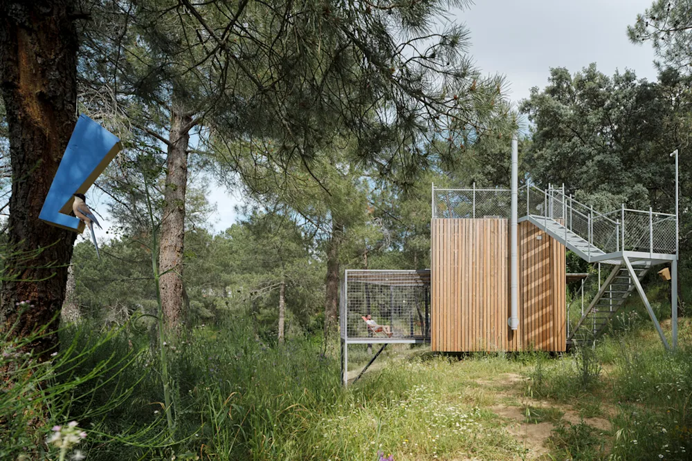 This Prefab Cabin is Designed to Accommodate Both Human & Bird