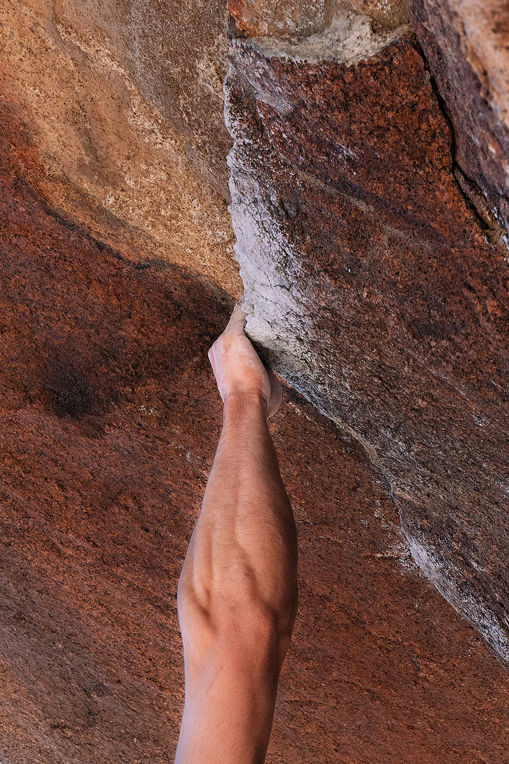 Chadwick-Tyler-District-Vision-JT-Climb-Field-Mag-16