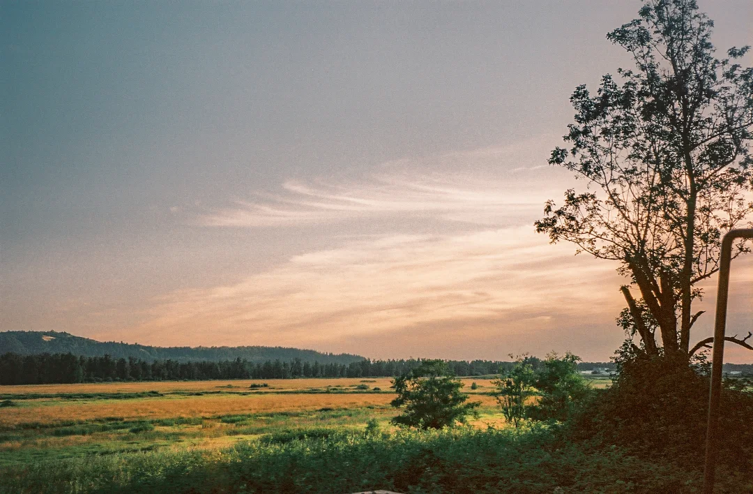 Dennis-Leupen-Train-Hopping-Landscape