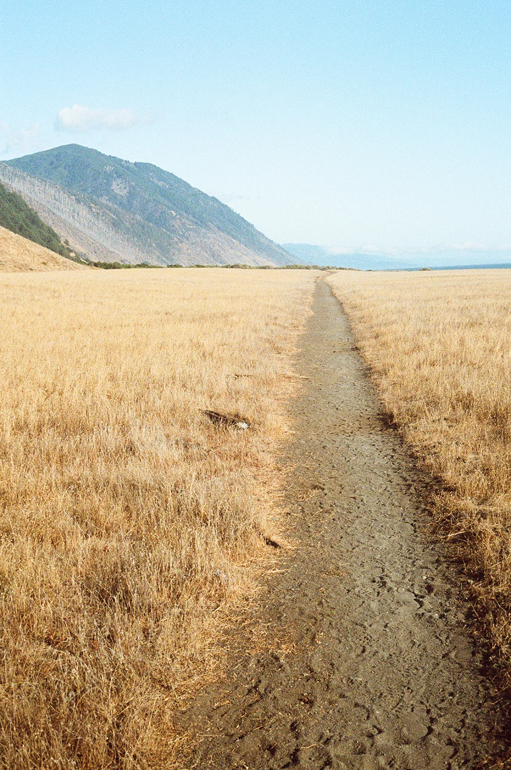 Nash-Rood-Lost-Coast-Trail-Tips-Field-Mag-6