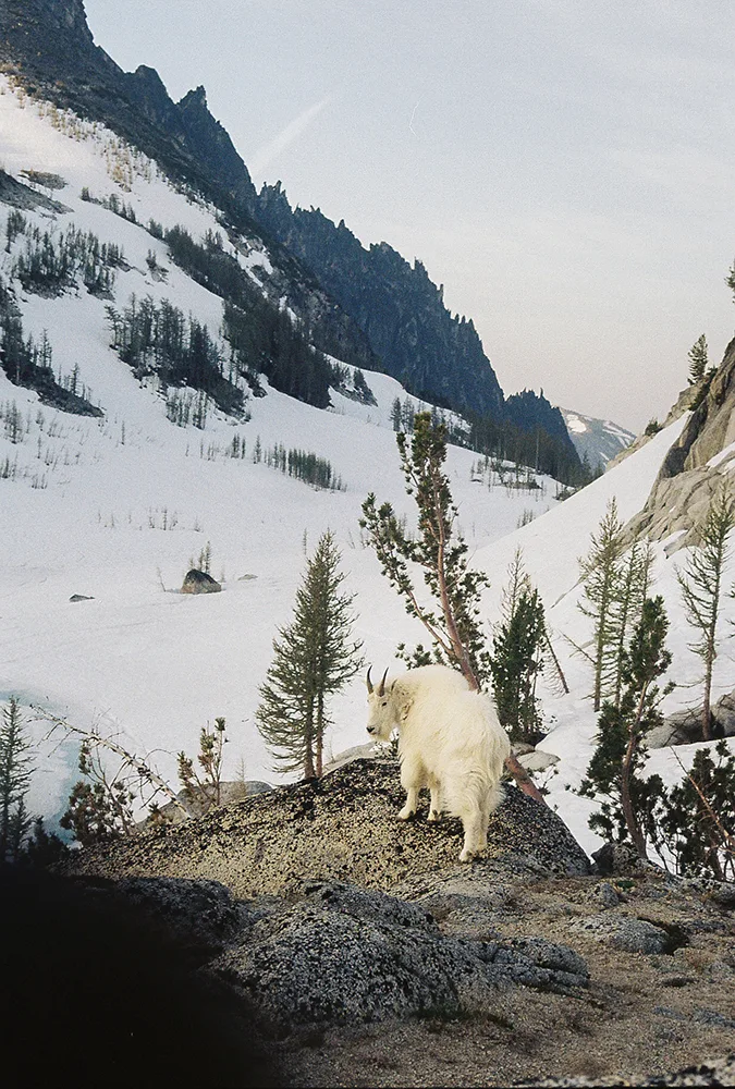 Nash-Rood-Enchantments-Fieldmag-9