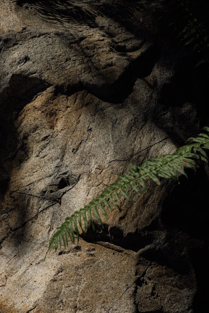 goodland-wavestone-sculpture-closeup-rock