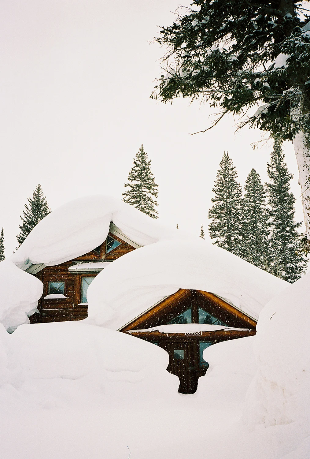 Vans-Hi-Standard-Brighton-35mm-Snow-Cabin