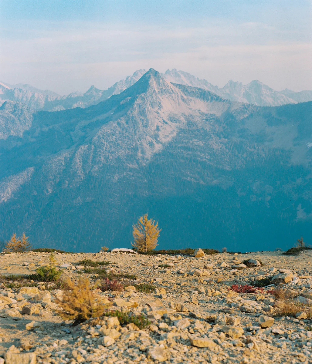 Christie-FitsPatrick-north-cascades-larches-4