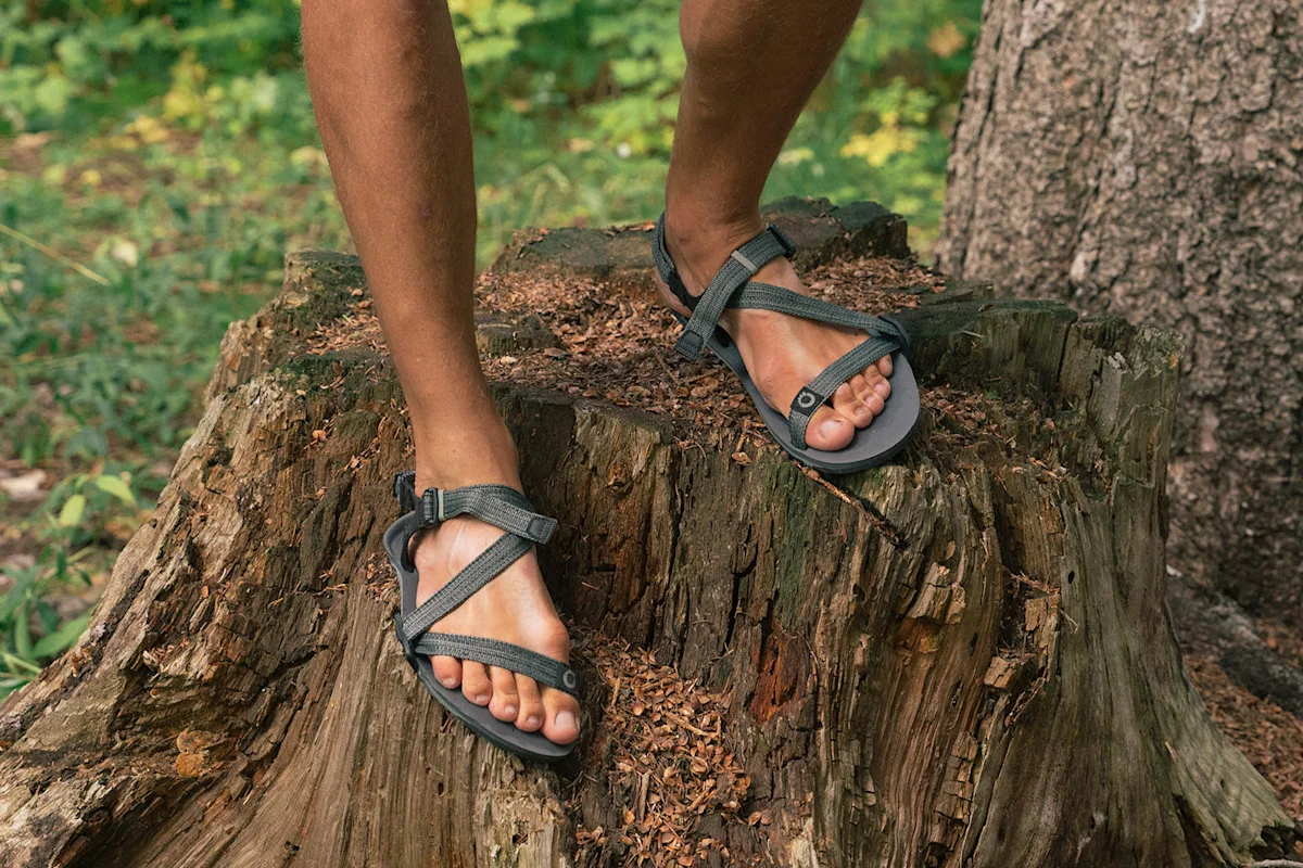 best-mens-hiking-sandals-xero-z-trail-ev